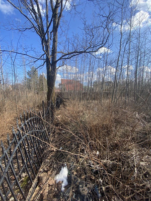 Продам участок 24 соток, ИЖС, Чайковского ул, Санкт-Петербург г, 0 км от города