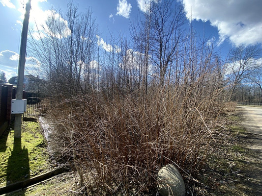 Продам участок 24 соток, ИЖС, Чайковского ул, Санкт-Петербург г, 0 км от города