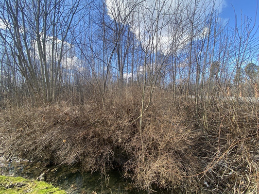 Продам участок 24 соток, ИЖС, Чайковского ул, Санкт-Петербург г, 0 км от города