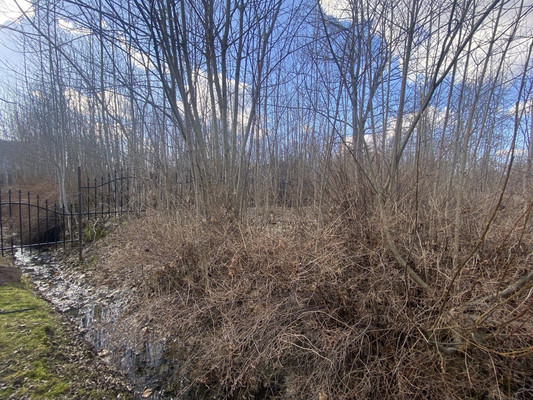 Продам участок 24 соток, ИЖС, Чайковского ул, Санкт-Петербург г, 0 км от города