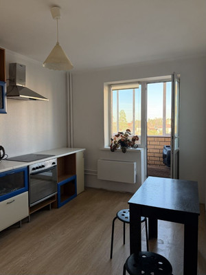 Продам однокомнатную (1-комн.) квартиру, Заречная ул, 33к2, Марусино д