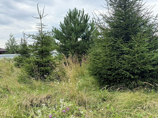 Продам участок 7,5 соток, ИЖС, Рубиновая ул, Кузнецово д, 0 км от города