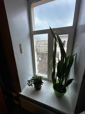 Продам трехкомнатную (3-комн.) квартиру, Большой Казачий пер, 9, Санкт-Петербург г