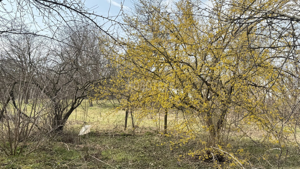 Продам дом, Майкопская ул, Родниковская ст-ца, 0 км от города