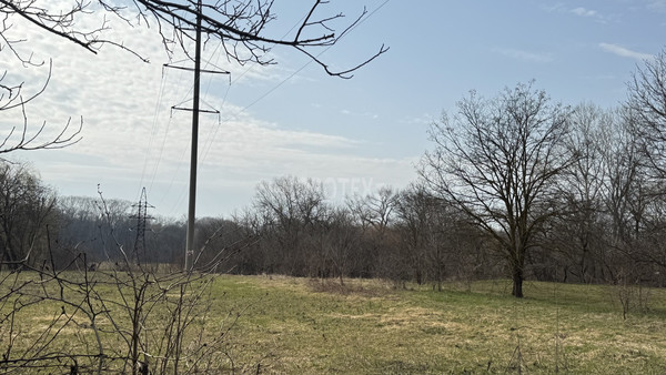 Продам дом, Майкопская ул, Родниковская ст-ца, 0 км от города