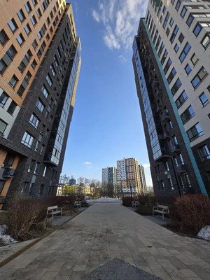 Сдам однокомнатную (1-комн.) квартиру, Скандинавский б-р, 2к3, Сосенское п