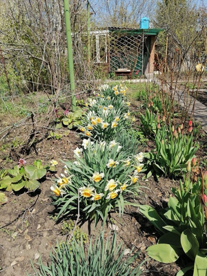 Продам дом, Магистральная ул, 110, Ростов-на-Дону г, 0 км от города