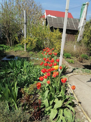 Продам дом, Магистральная ул, 110, Ростов-на-Дону г, 0 км от города