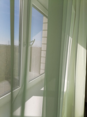 Сдам однокомнатную (1-комн.) квартиру, профессора Сороки ул, 13, Великий Новгород г