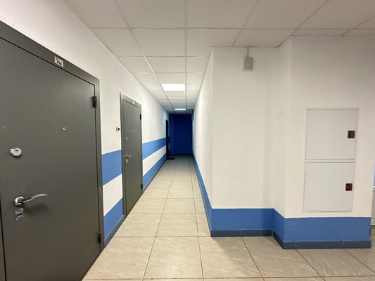 Продам однокомнатную (1-комн.) квартиру, Адмирала Черокова ул, 20А, Санкт-Петербург г