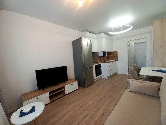 Сдам однокомнатную (1-комн.) квартиру, Севастьянова ул, 32к2, Колпино г