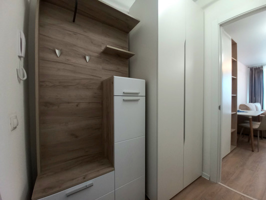 Сдам однокомнатную (1-комн.) квартиру, Севастьянова ул, 32к2, Колпино г