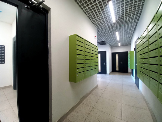 Сдам однокомнатную (1-комн.) квартиру, Севастьянова ул, 32к2, Колпино г