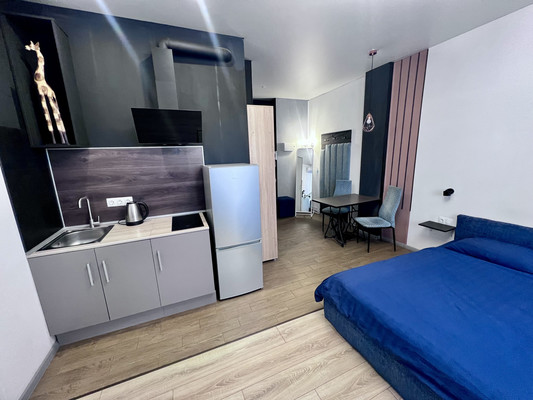 Продам однокомнатную (1-комн.) квартиру, Зеркальный пер, 7, Ростов-на-Дону г