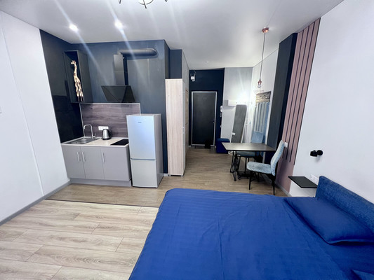 Продам однокомнатную (1-комн.) квартиру, Зеркальный пер, 7, Ростов-на-Дону г