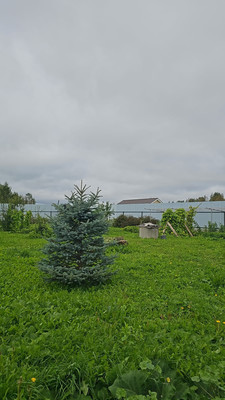 Продам дом, Рубцово д, 0 км от города