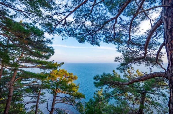 Продам дом, Адлеровская ул, 10, Туапсе г, 0 км от города