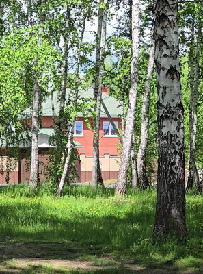 Продам дом, Зеленая (мкр Белые росы) ул, 20, Кременкуль с, 0 км от города