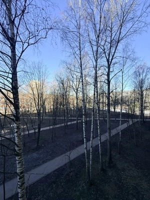 Продам однокомнатную (1-комн.) квартиру, Гражданский пр-кт, 122Ак4, Санкт-Петербург г