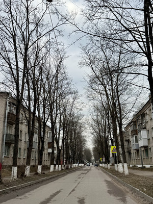 Продам двухкомнатную (2-комн.) квартиру, Молодежная ул, 8, Кузьмоловский гп