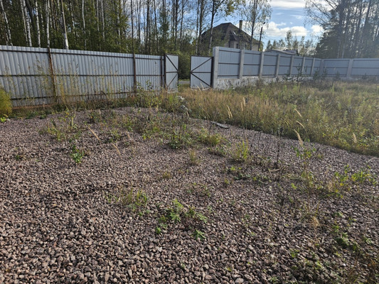 Продам участок 12 соток, ИЖС, Лобачика ул, Белоостров п, 0 км от города
