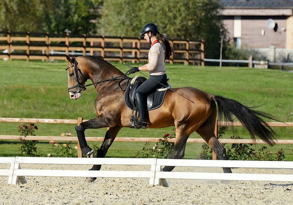 Продам участок 9,09 соток, ИЖС, Новая ул, Мышенское с, 0 км от города