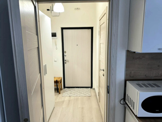 Сдам однокомнатную (1-комн.) квартиру, Железнодорожный пр-кт, 14к3, Санкт-Петербург г