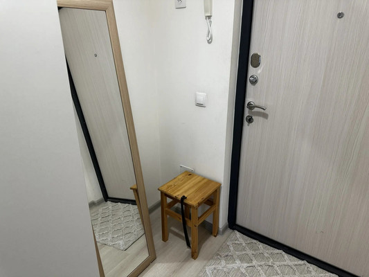 Сдам однокомнатную (1-комн.) квартиру, Железнодорожный пр-кт, 14к3, Санкт-Петербург г