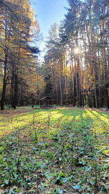 Продам двухкомнатную (2-комн.) квартиру, Новопеределкинская ул, 10, Москва г