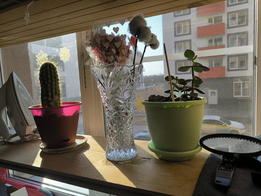 Продам двухкомнатную (2-комн.) квартиру, Московское ш, 264, Шушары п