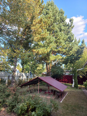 Продам дачу, 1, СНТ Роща тер, 0 км от города