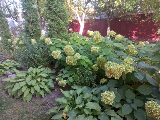 Продам дачу, 1, СНТ Роща тер, 0 км от города