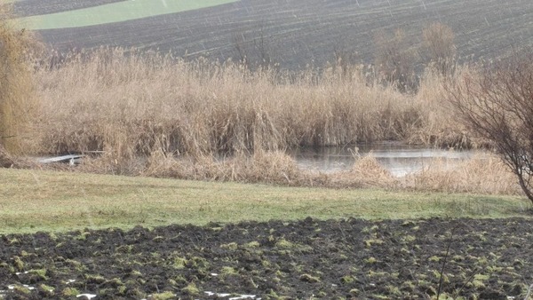 Продам дом, Октябрьская ул, 102, Скобелевская ст-ца, 0 км от города
