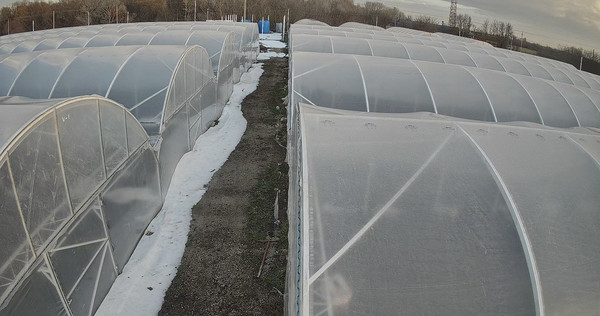 Продам торговое помещение 12 000 м2, 40 лет Победы ул, 30, Желябовка с