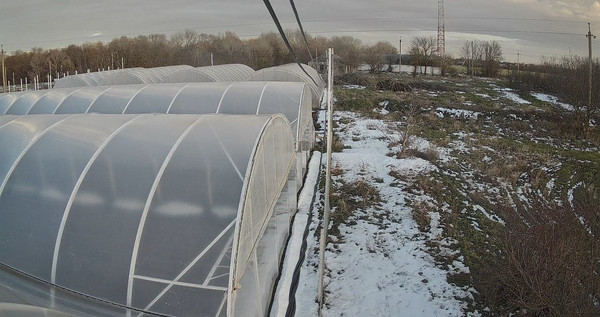 Продам торговое помещение 12 000 м2, 40 лет Победы ул, 30, Желябовка с