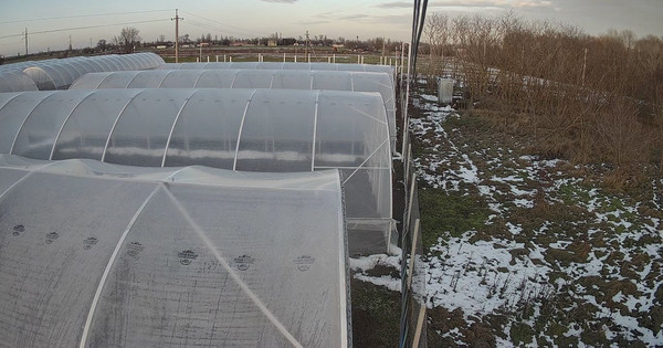 Продам торговое помещение 12 000 м2, 40 лет Победы ул, 30, Желябовка с