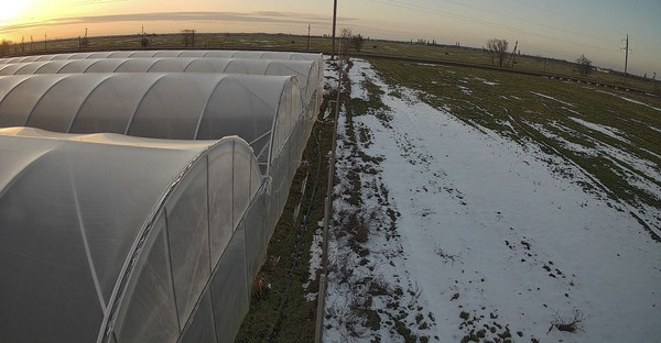 Продам торговое помещение 12 000 м2, 40 лет Победы ул, 30, Желябовка с