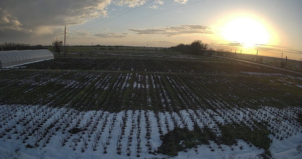 Продам торговое помещение 12 000 м2, 40 лет Победы ул, 30, Желябовка с