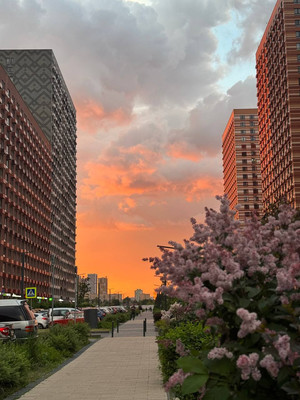 Продам однокомнатную (1-комн.) квартиру, 100 кв-л, 1к1, Москва г