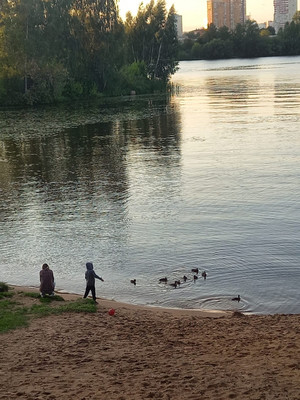 Продам однокомнатную (1-комн.) квартиру, 100 кв-л, 1к1, Москва г