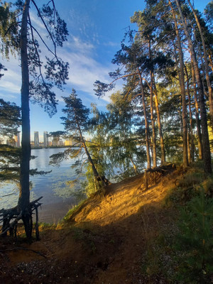 Продам однокомнатную (1-комн.) квартиру, 100 кв-л, 1к1, Москва г