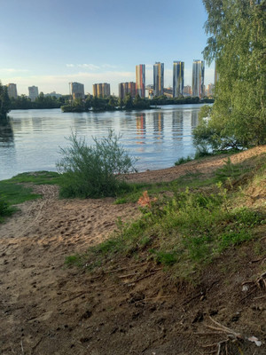 Продам однокомнатную (1-комн.) квартиру, 100 кв-л, 1к1, Москва г