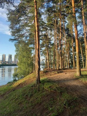 Продам однокомнатную (1-комн.) квартиру, 100 кв-л, 1к1, Москва г