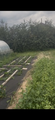 Продам участок 6 соток, Фермерское хоз., Рябинка д, 0 км от города