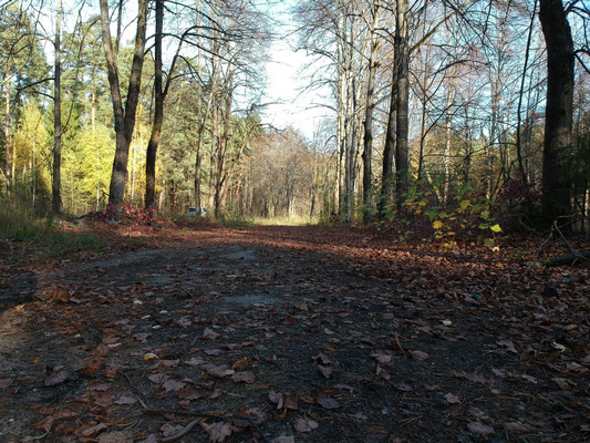 Продам землю для коммерческого использования 5,5 соток, Садоводство, Антоново д