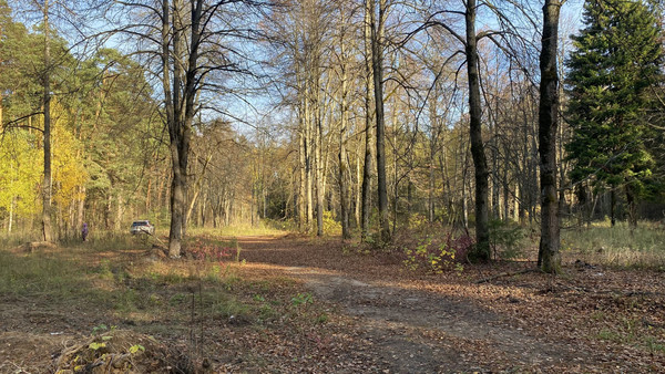 Продам землю для коммерческого использования 5,5 соток, Садоводство, Антоново д