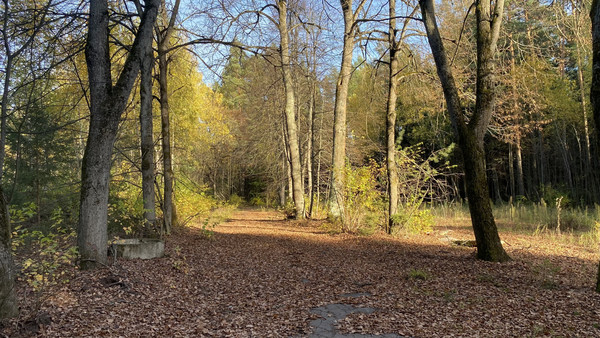 Продам землю для коммерческого использования 5,5 соток, Садоводство, Антоново д