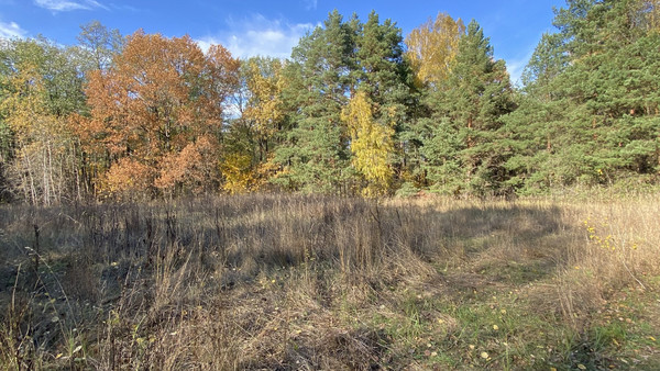 Продам землю для коммерческого использования 5,5 соток, Садоводство, Антоново д