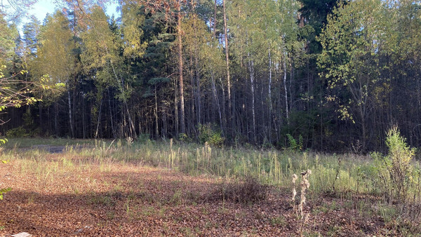 Продам землю для коммерческого использования 5,5 соток, Садоводство, Антоново д