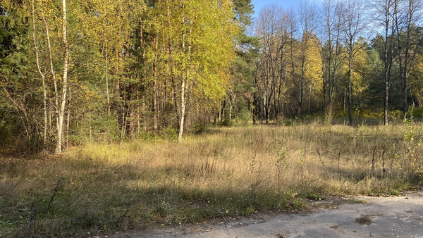 Продам землю для коммерческого использования 5,5 соток, Садоводство, Антоново д